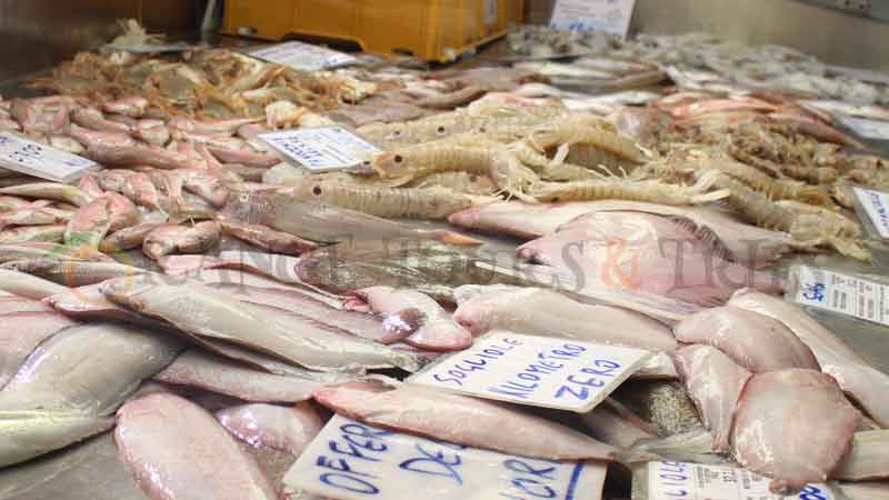 Rimini Food Tour 3 photo